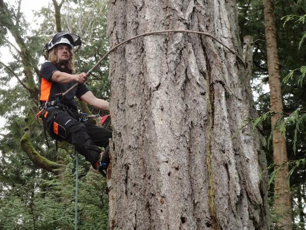 R.C. Tree Service