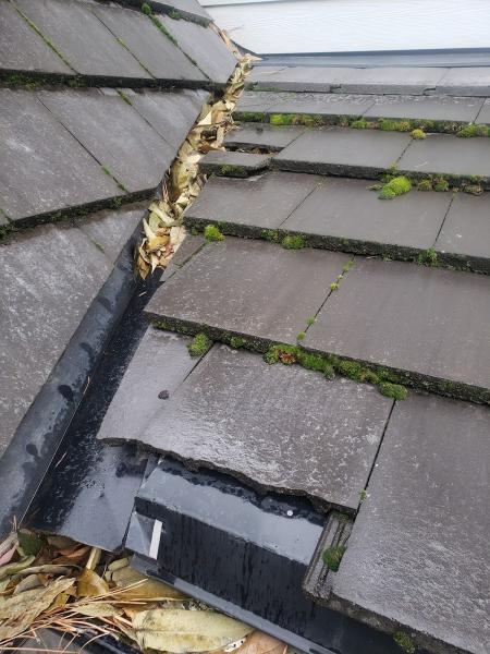 Elevation Roof Repairs