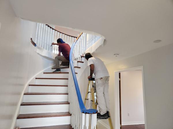 Elite Spatolato Painting Services