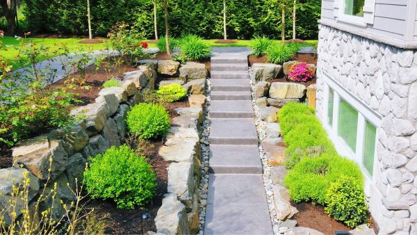 Belle Vista Landscaping & Maintenance