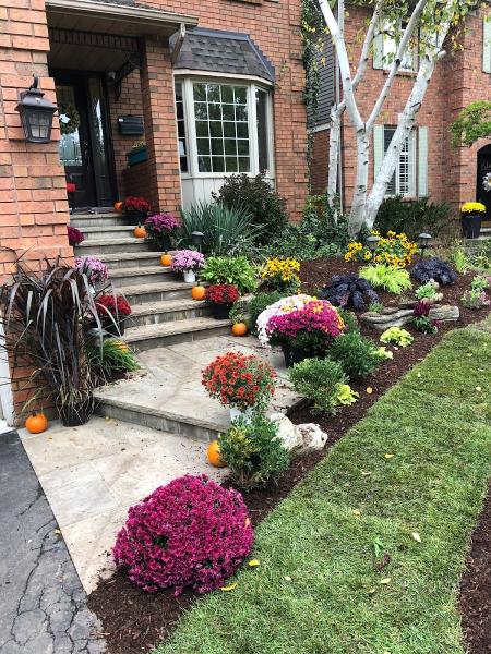 Dreamscapers Professional Landscaping