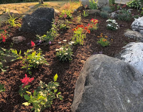 Dreamscapers Professional Landscaping