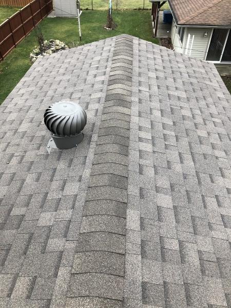 Meticulous Roofing
