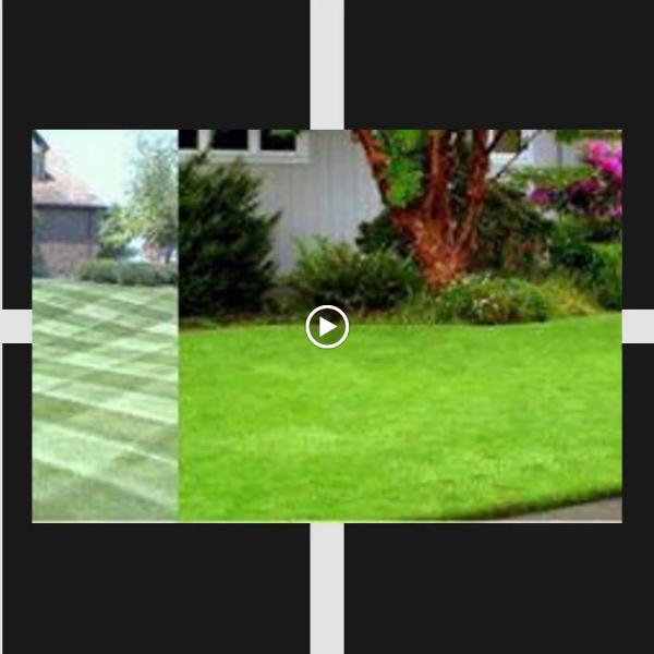 Ray's Property Services