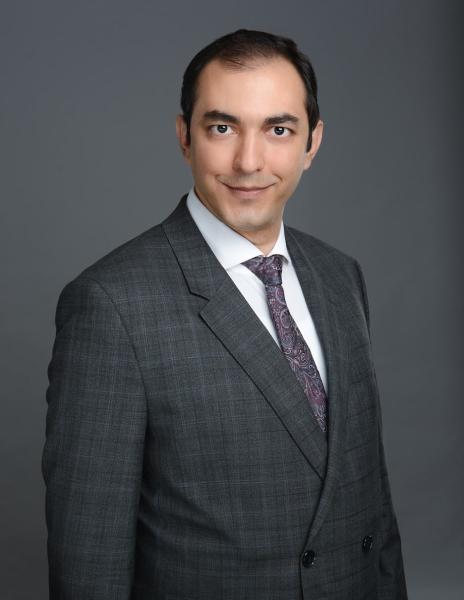 Hamed Gholamiangonabadi