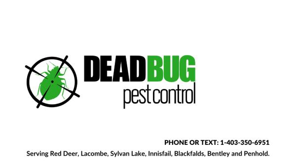 Deadbug Pest Control Red Deer