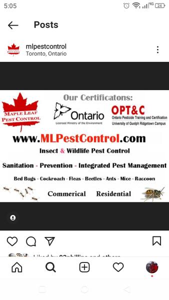 Maple Leaf Pest Control