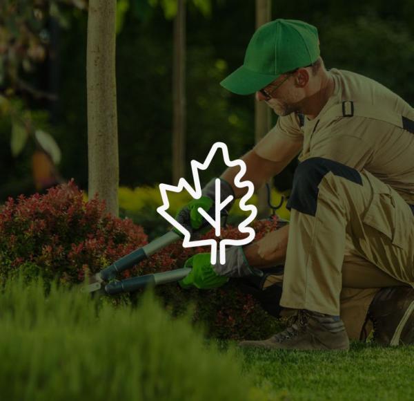 Oak & Maple Landscaping Inc.