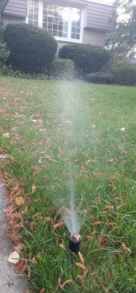 Lush Lawn GTA