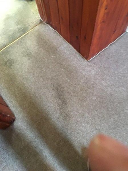 Niagara Kwik Dry Total Cleaning