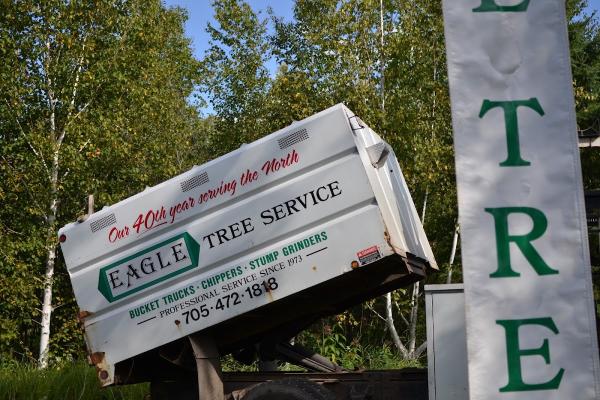 Eagle Tree & Landscaping Services