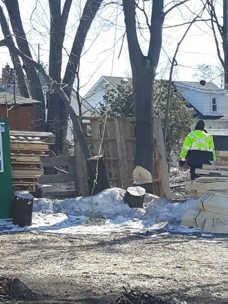Big Wood Tree & Yard