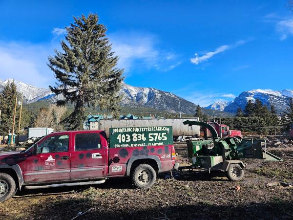 Mountain Country Tree Care