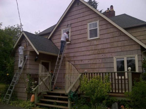 Mdo Painting Services