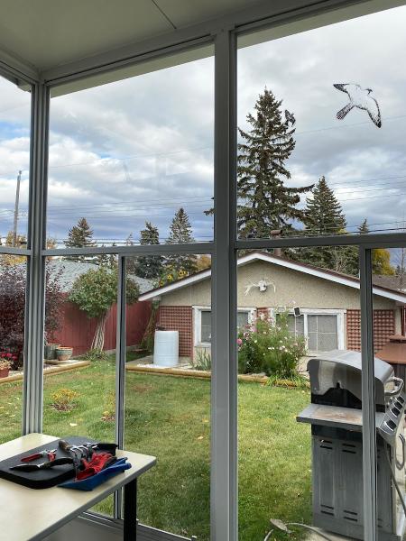 Westview Window Cleaning Services
