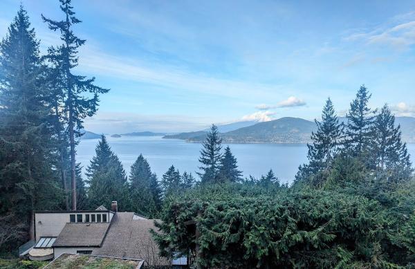 Silverback Treeworks Ltd