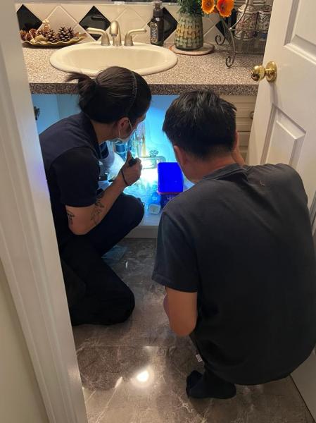 Inspectology Home Inspections