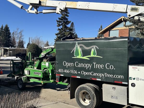 Open Canopy Tree Co.