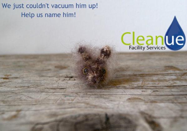Cleanue Facility Services
