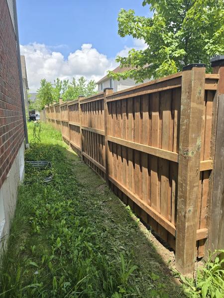 Luis' Fencing and Home Renovations