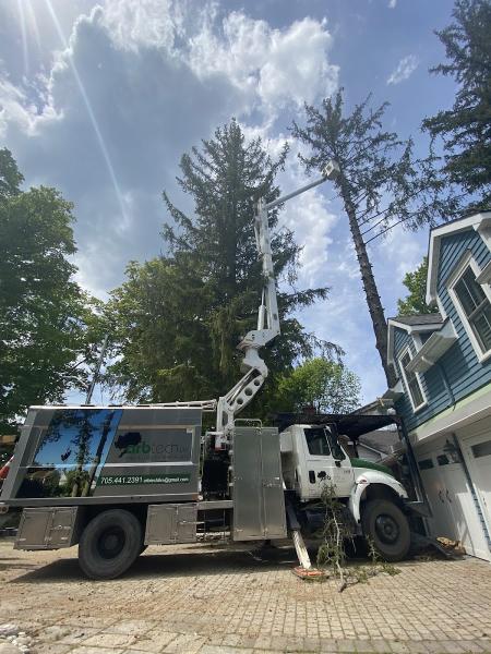 Arbtech Tree Care Services