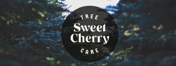 Sweet Cherry Tree Care Ltd.