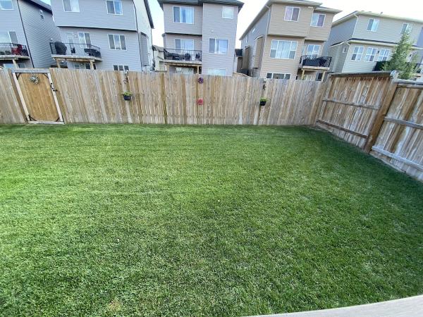 Maxigreen Fertilizing Services Calgary