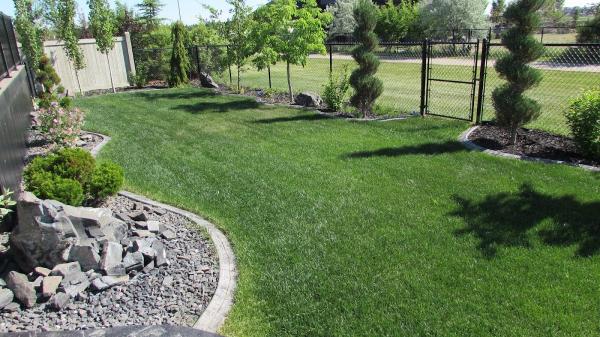 Maxigreen Fertilizing Services Calgary