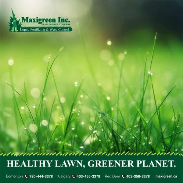 Maxigreen Fertilizing Services Calgary