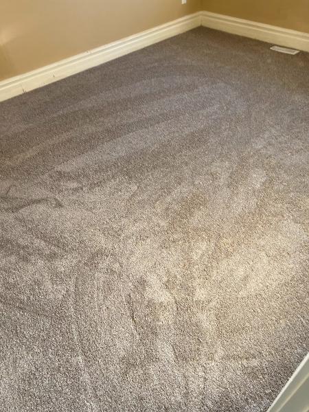 Carpet Installers
