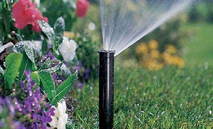 Water Your World Inc.