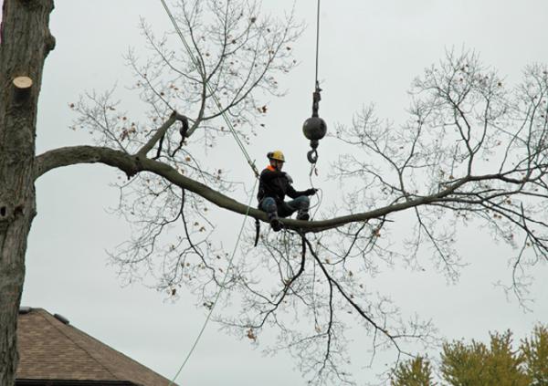 Bowerhill Services Inc