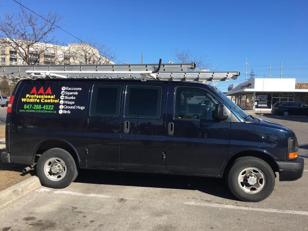 AAA Professional Wildlife Control