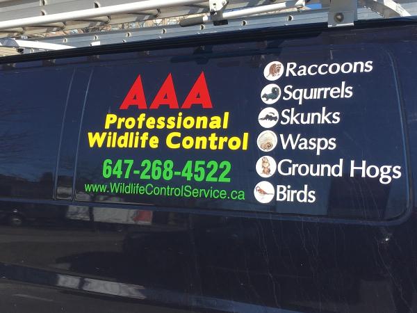 AAA Professional Wildlife Control