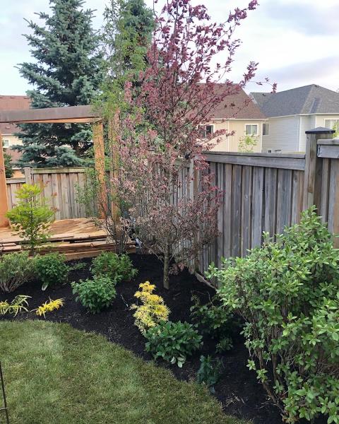 Matthew Behm Landscaping Ltd.