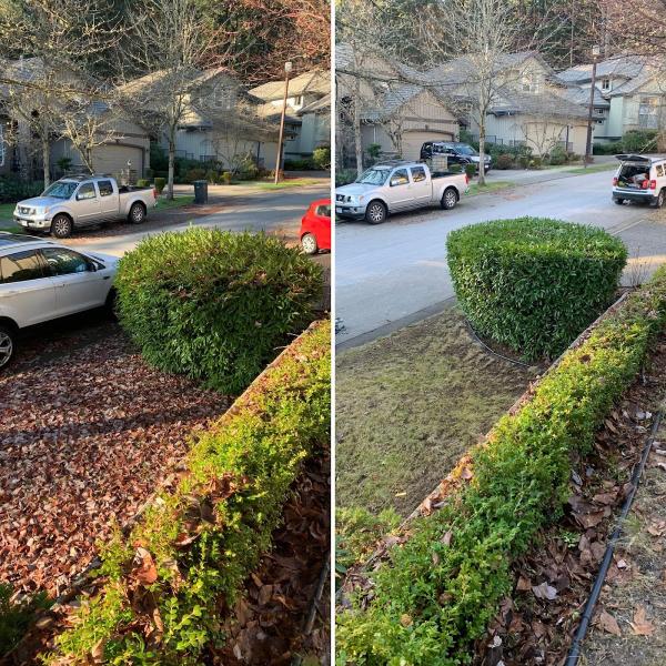 Lawngevity Lawn Care