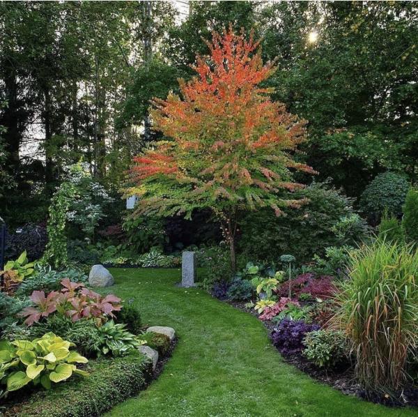 Lawngevity Lawn Care