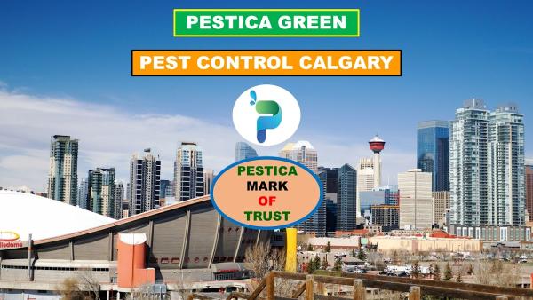 Pestica Green Pest Control Calgary