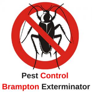 Pest Control Brampton Exterminator