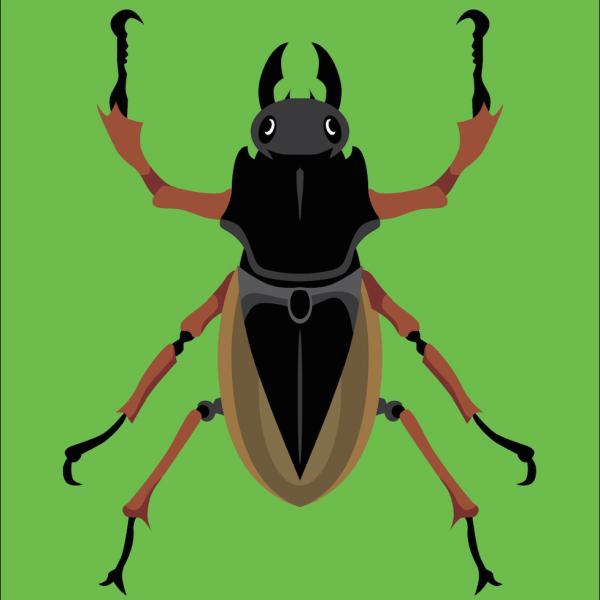 Pest Control Brampton Exterminator