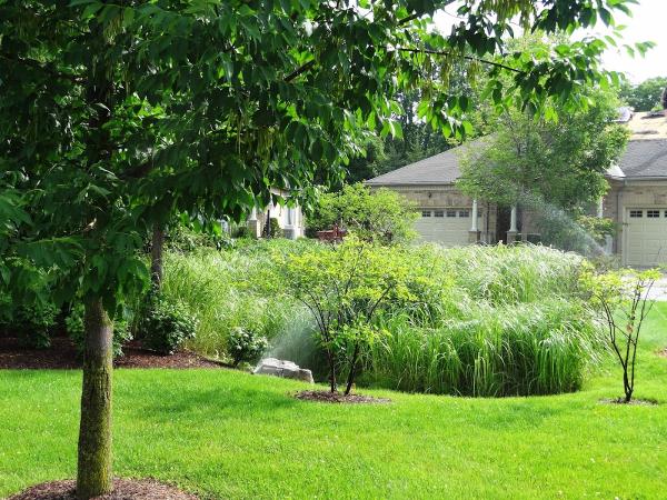 Blue Jay Irrigation