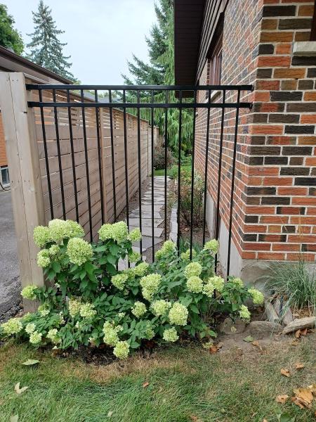 Modern Decks & Vinyl Fences