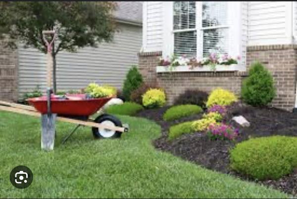 705 Property Maintenance