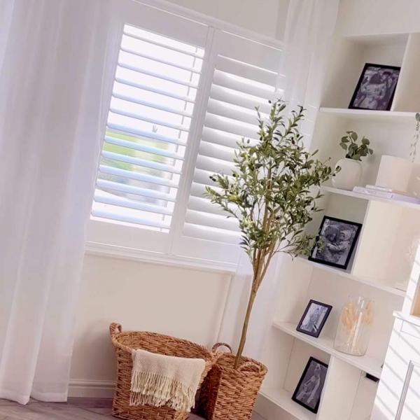 Labadie Blinds