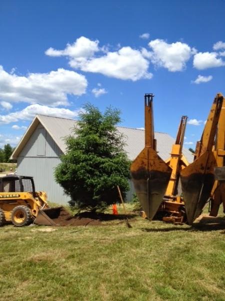 Ontario Tree Moving and Spading