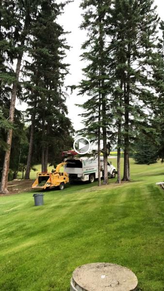 Vertical Limits Tree Care Services