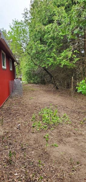Rousseau's Urban Forestry Services