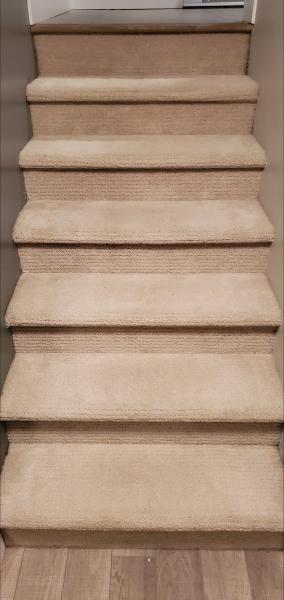 United Carpet Cleaning