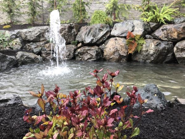 Rader Landscaping