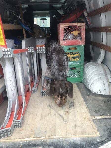 DMC Electrical Service Ltd